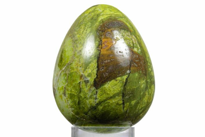 Polished Green Opal Egg - Madagascar #356169